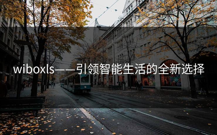 wiboxls——引领智能生活的全新选择