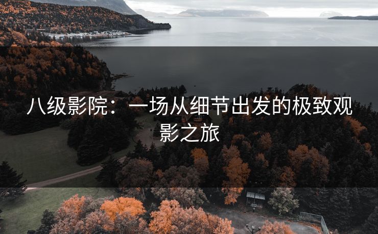 八级影院:一场从细节出发的极致观影之旅 八级影院:一场从细节出发的极致观影之旅