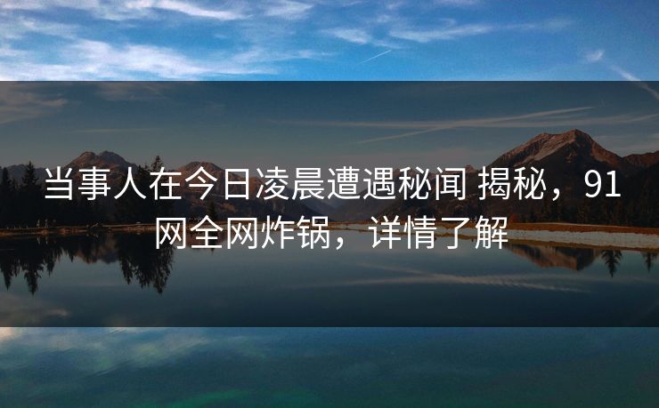 当事人在今日凌晨遭遇秘闻 揭秘，91网全网炸锅，详情了解