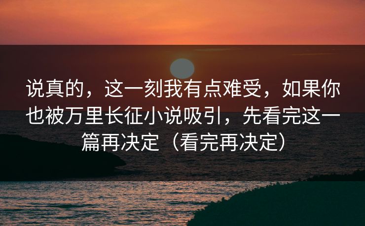 说真的，这一刻我有点难受，如果你也被万里长征小说吸引，先看完这一篇再决定（看完再决定）